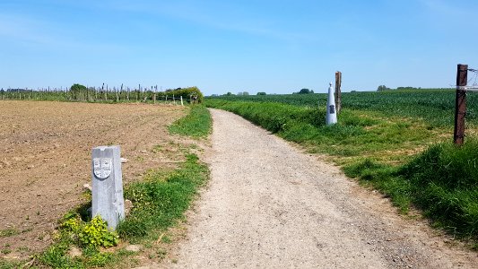 Moelingen-Mesch-Grenspaal 36 (BE-NL) (6)