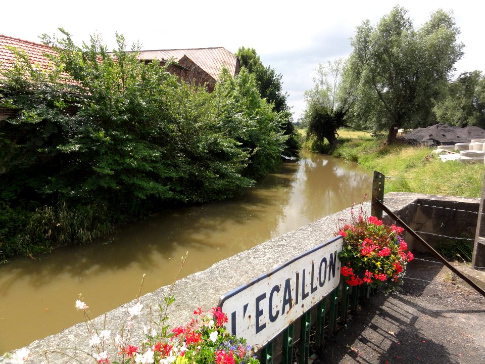 Monchaux-sur-Écaillon (Nord, Fr) l'Écaillon