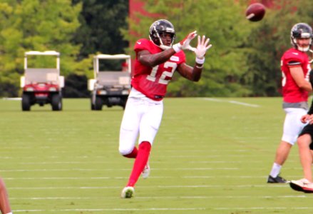 Mohamed Sanu 2016