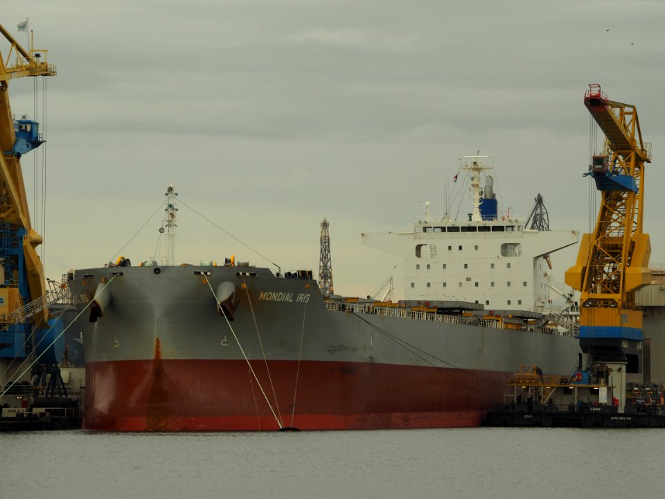 Mondial Iris (ship, 2017) IMO 9801201, Port of Amsterdam