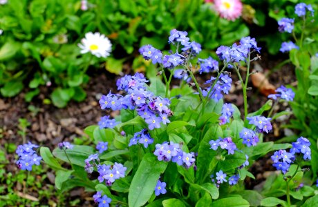 Blue nature spring