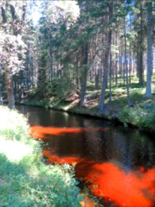 Modrava 1