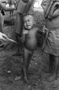 Moeara Enim (Sumatra). Gezondheidszorg in de bevrijde gebieden. De toean dokter, Bestanddeelnr 400-2-2