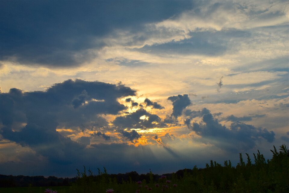Light nature sun