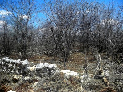 Molas, Yucatán (05)