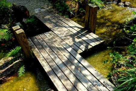 Modern Romantic Garden - Morikami Museum and Japanese Gardens - Palm Beach County, Florida - DSC03418