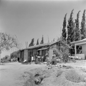 Moderne bungalows naast de oude pioniersbarakken in kibboets Kwuzath Schiller, Bestanddeelnr 255-0635