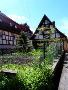 Molbitz, Neustadt-Orla 08