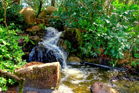 Modern Romantic Garden - Morikami Museum and Japanese Gardens - Palm Beach County, Florida - DSC03432