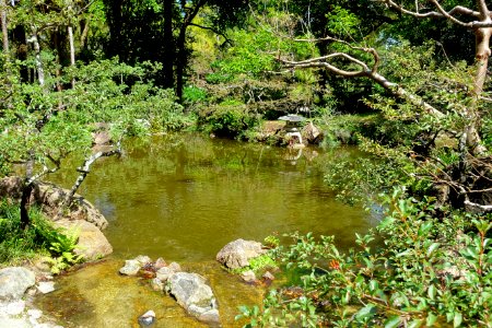 Modern Romantic Garden - Morikami Museum and Japanese Gardens - Palm Beach County, Florida - DSC03416
