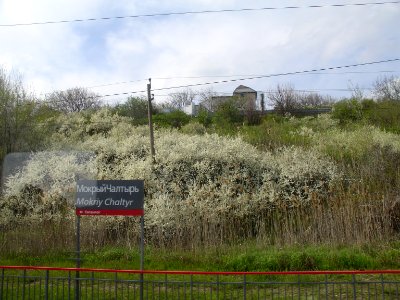 Mokry Chaltyr Station placard