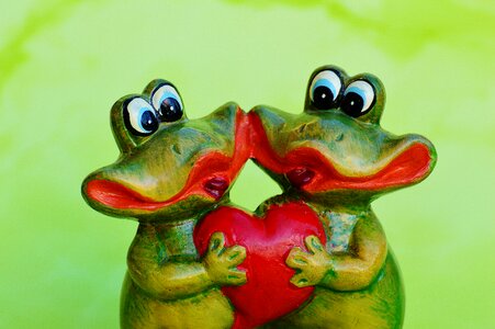 Love heart frog photo