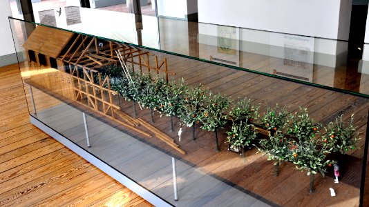 Modell Pomeranzenhaus Heidelberg