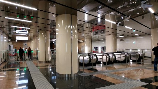 Moscow metro ulitsa Dmitrievskogo 2019-06-03 8
