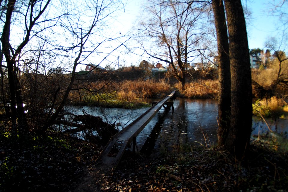 Moscow Oblast sanatorija Podmoskov'e 20181111 038