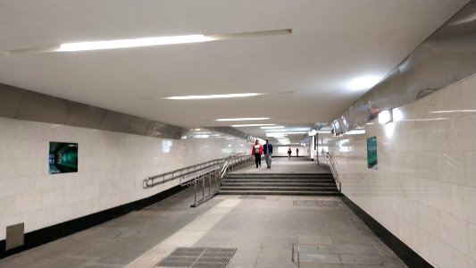 Moscow metro ulitsa Dmitrievskogo 2019-06-03 3