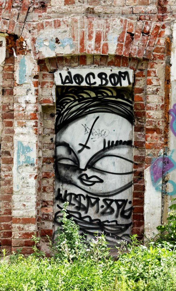 Moscow, Sadovnicheskaya 35C2 ruins July 2012 01