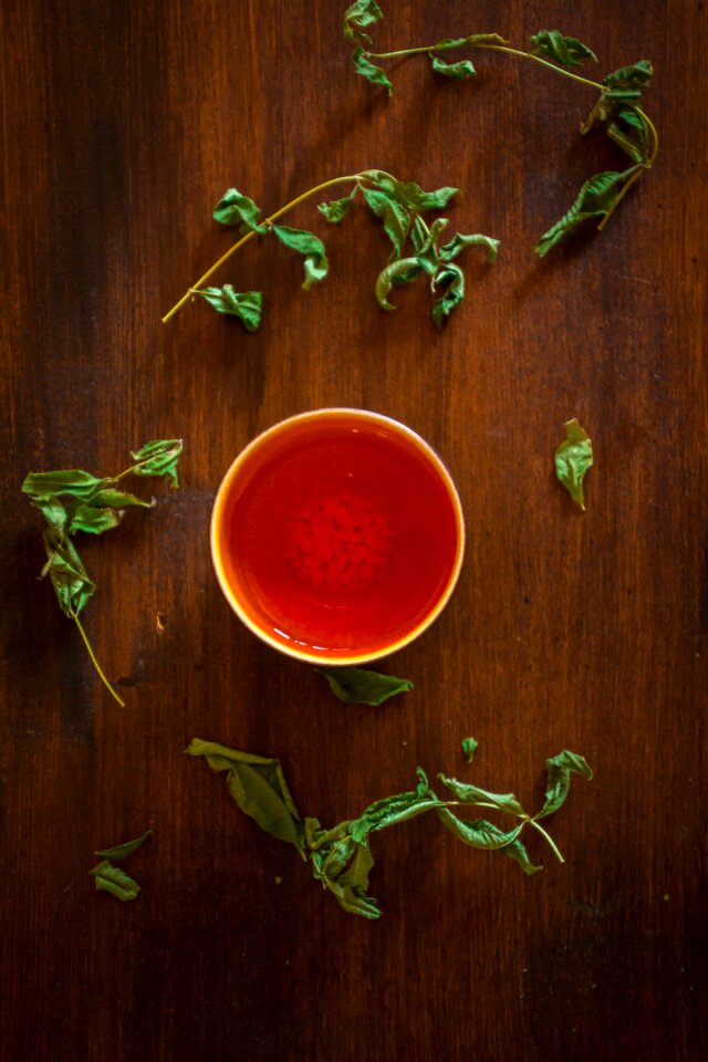 Porcelain drink herbal tea photo