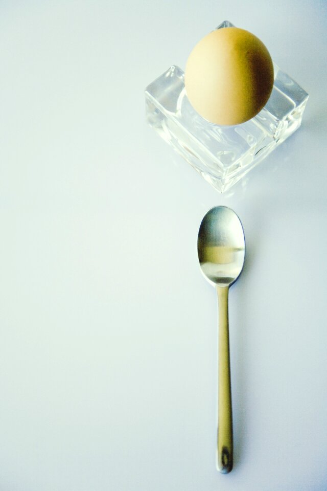 Egg cups food eggshell