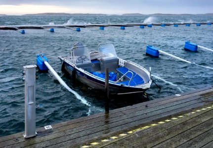 Motorboat and dock fingers floating high in Lysekil during Storm Ciara 1