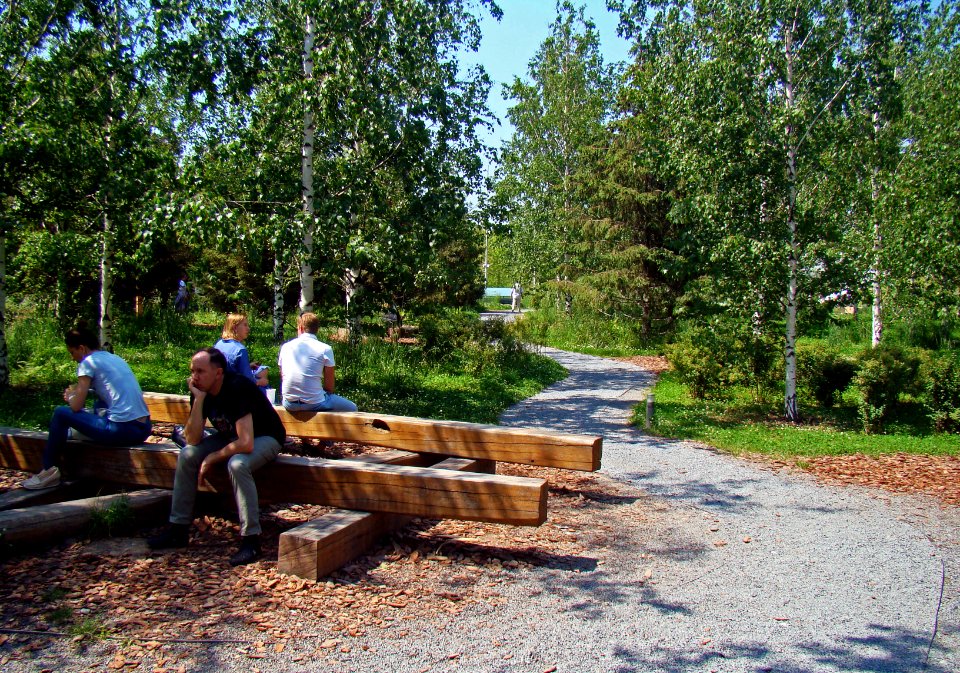 Moscow. Log bench in Zaryadye Park