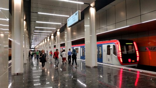 Moscow metro Lukhmanovskaya 2019-06-03 22 photo