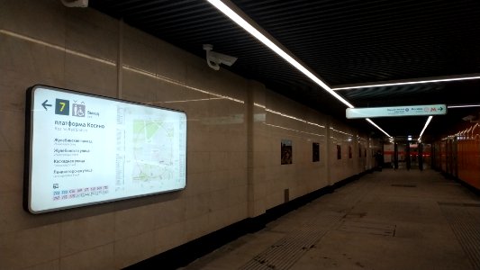Moscow metro Kosino 2019-06-03 2