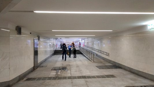 Moscow metro Lukhmanovskaya 2019-06-03 13