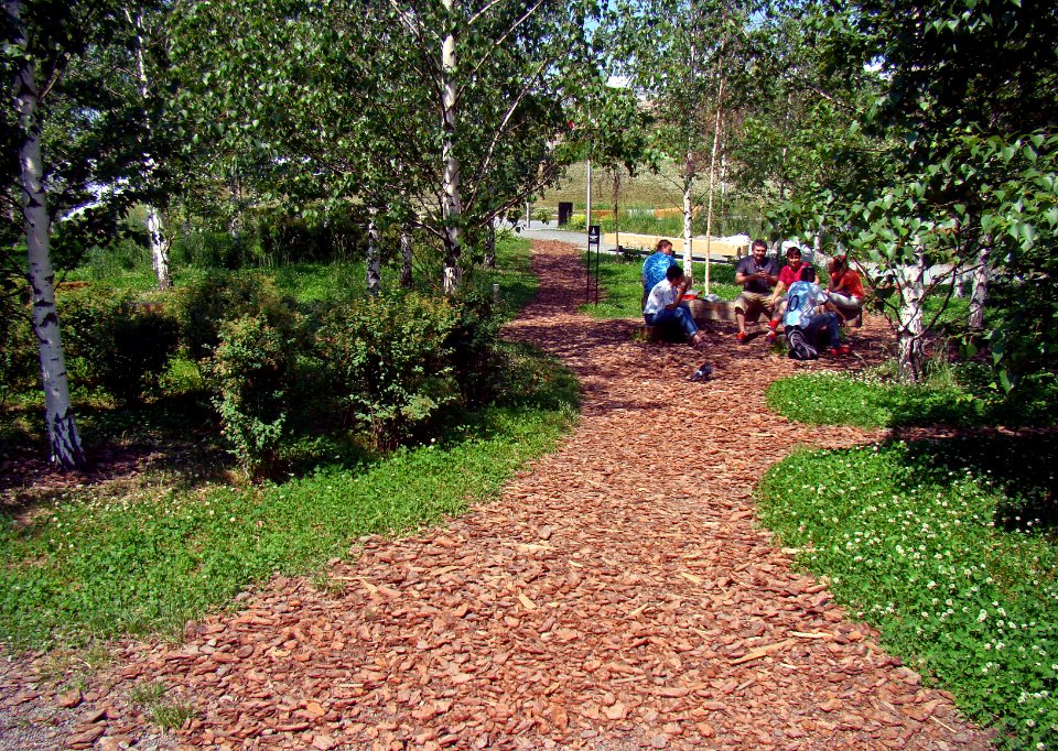 Moscow. Bark path in Zaryadye Park (1)