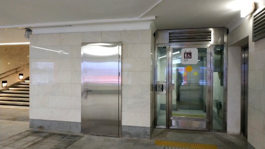 Moscow metro Lukhmanovskaya 2019-06-03 8