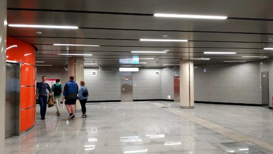 Moscow metro Lukhmanovskaya 2019-06-03 18
