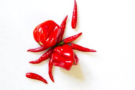 Cooking papricka pepper