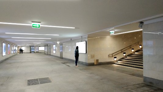 Moscow metro Lukhmanovskaya 2019-06-03 11