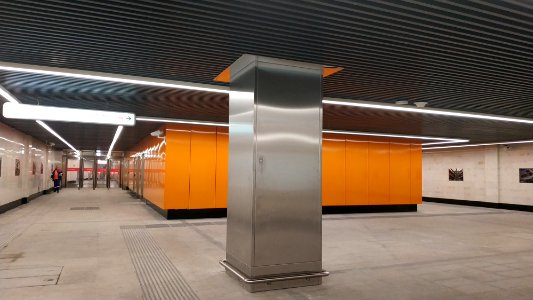 Moscow metro Kosino 2019-06-03 3