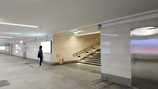 Moscow metro Lukhmanovskaya 2019-06-03 10