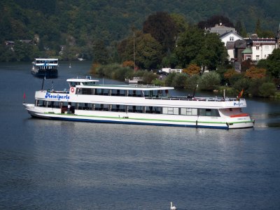 Moselperle on the Mosel, ENI 04305760, bild 2