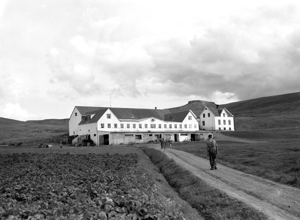 Mosfellsbaer. Een weg die leidt naar een hofstede bij Syðri-Reykir, Bestanddeelnr 190-0381