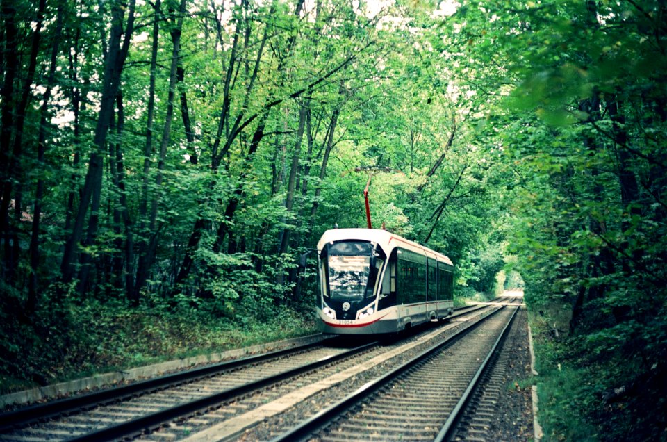 Moscow tram 31054 2020-08 Sokolniki forest
