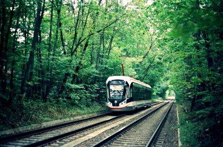 Moscow tram 31054 2020-08 Sokolniki forest