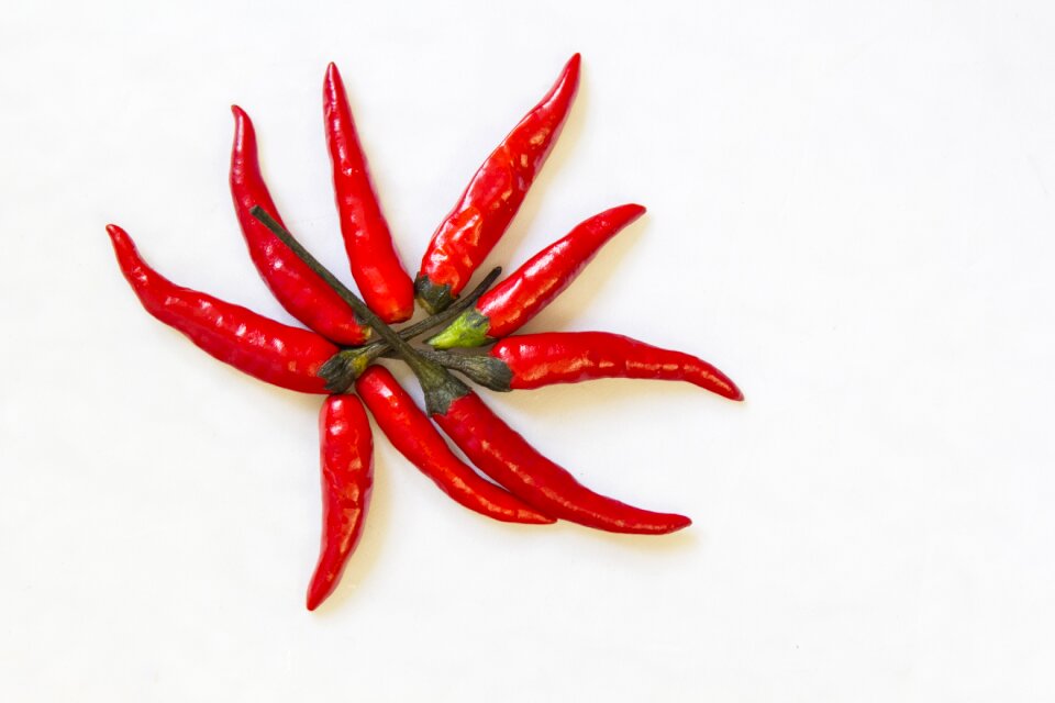 Pepper cooking cuisine
