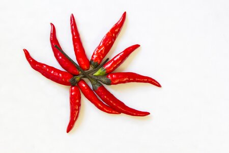 Pepper cooking cuisine