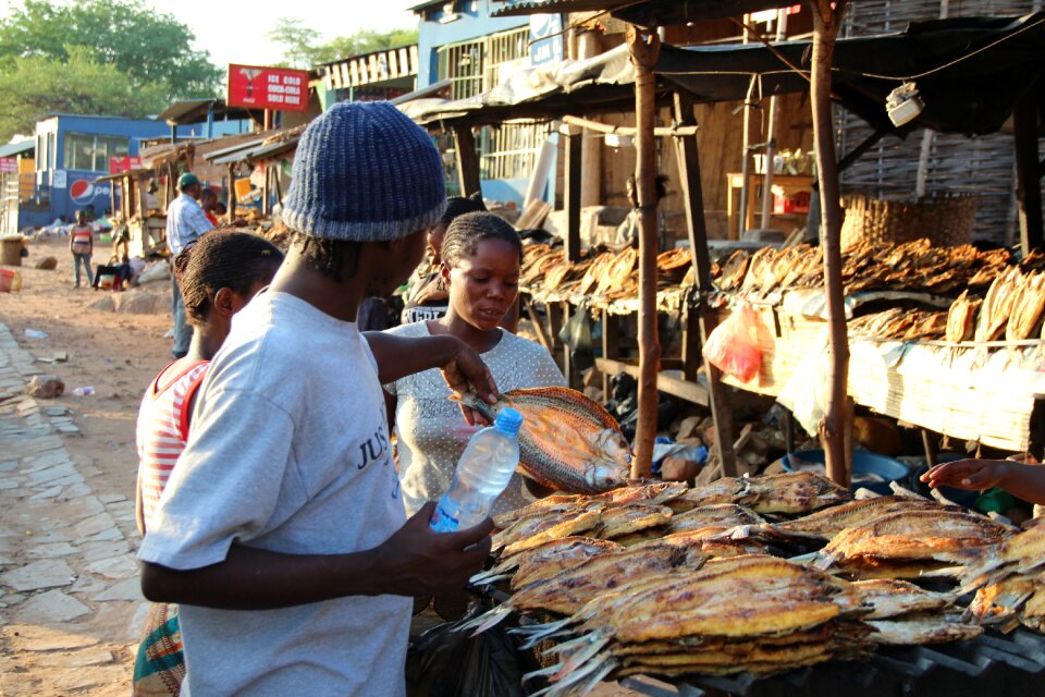 Africa town luangwa