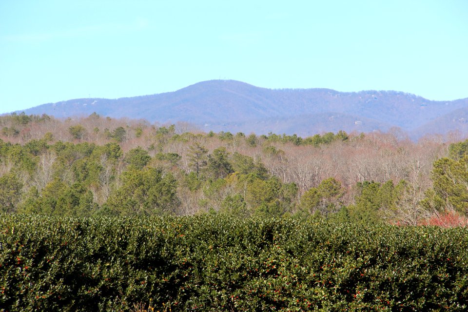 Mount Oglethorpe viewed from Gibbs Gardens, Feb 2017