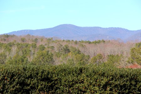 Mount Oglethorpe viewed from Gibbs Gardens, Feb 2017