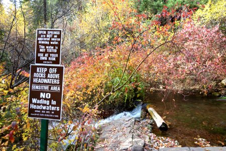 Mount Shasta Big Springs - Mount Shasta City Park - Mount Shasta City, California - DSC02768