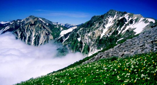 Mount Shirouma from Mount Korenge 2000-7-31