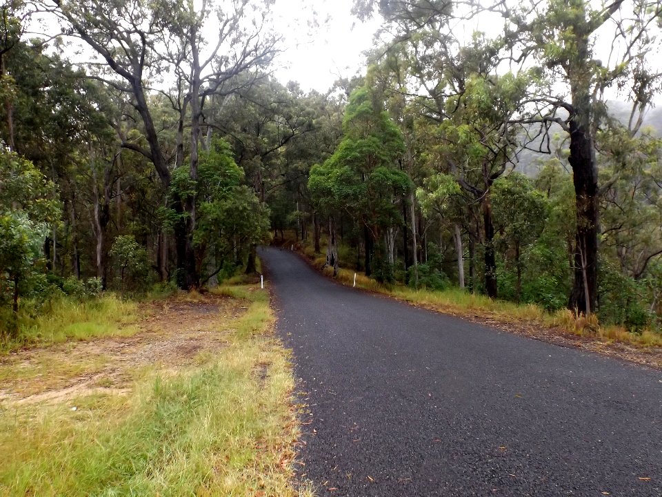Mount Nimmel Road, Austinville, Queensland