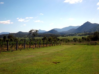 Mount Moon and vineyard at Mount Alford, Queensland photo