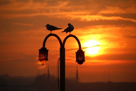 Solar galata bridge v