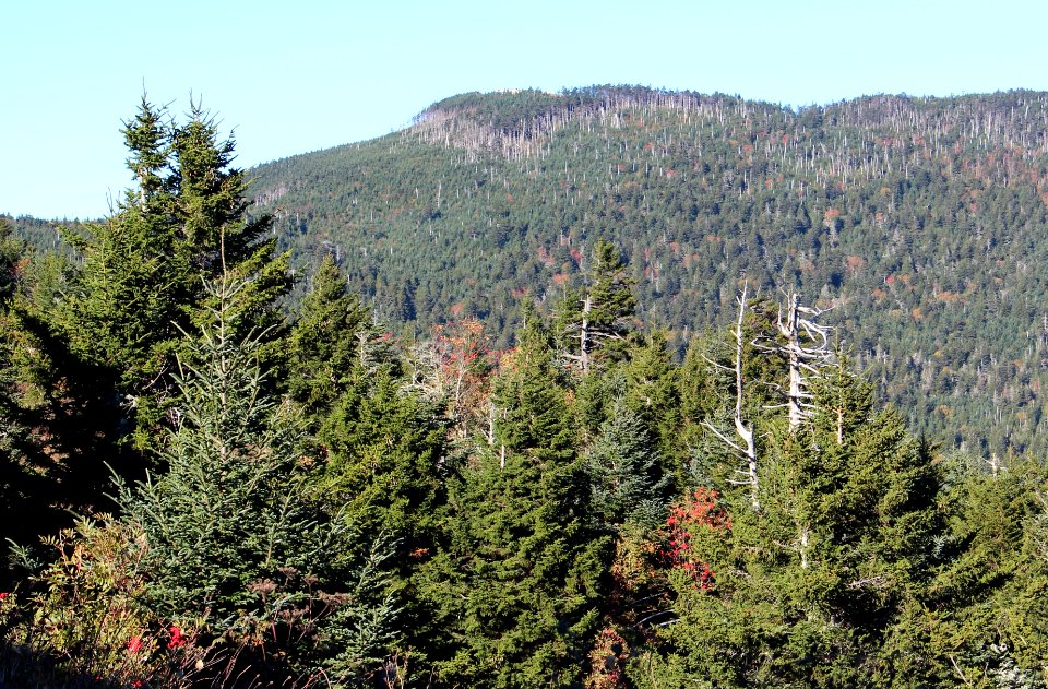 Mount Mitchell viewed from Mount Mitchell State Park Restaurant, Oct 2016